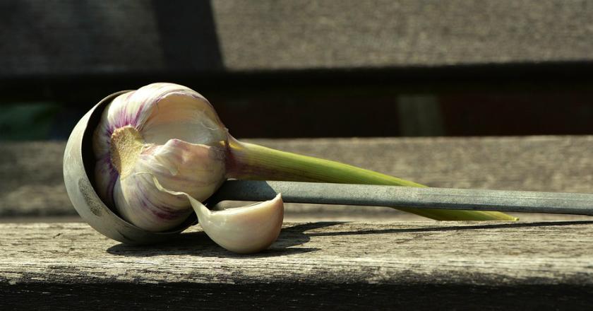 Manfaat Tunas Bawang Putih yang Tak Banyak Orang Ketahui