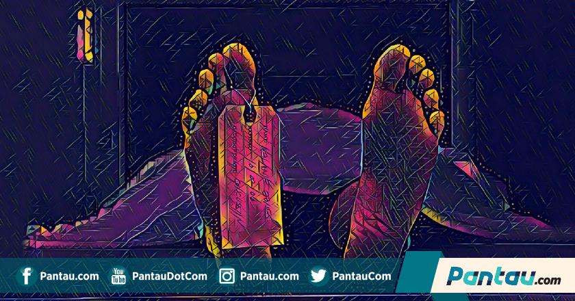 Seorang Petani Tewas Diserang Babi Hutan