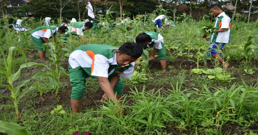 Nah! Pemerintah Diminta Evaluasi Efektivitas Mekanisme Impor Pangan