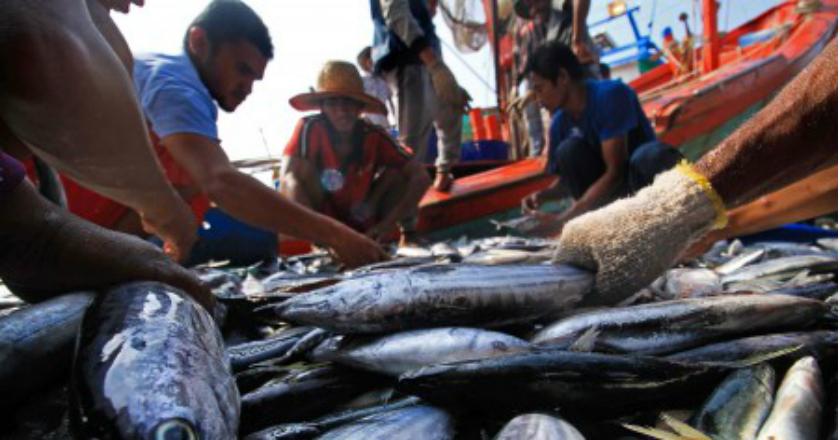 Ikan Indonesia Mulai Dilirik Importir Prancis