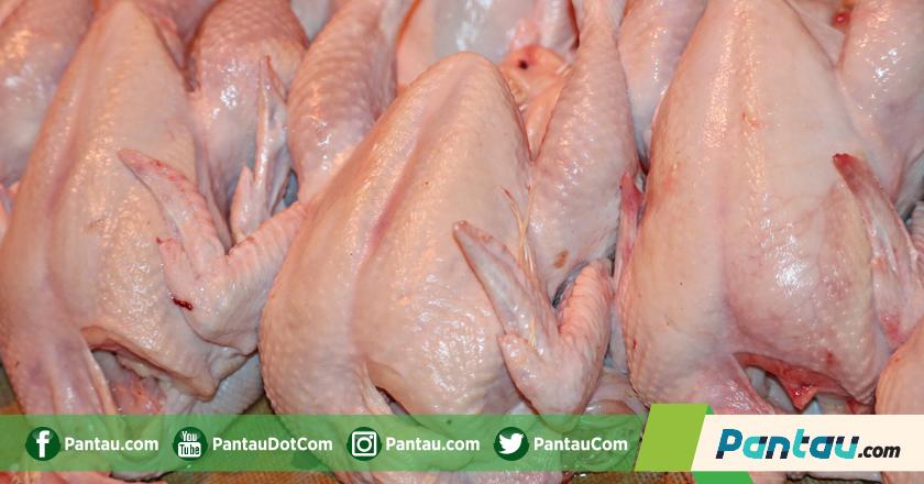 Kerap 'Meroket' Jelang Ramadan, Darmin Fokus ke Harga Daging