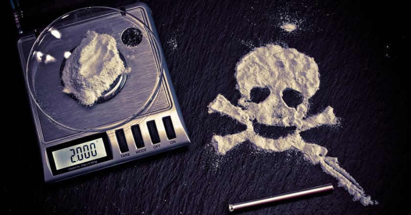 Duh! Selundupkan Heroin Dalam Perut Anjing, Dokter Hewan Ini Terancam Hukuman Mati
