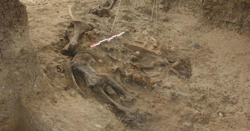 Manusia di Filipina Telah Ada Sejak 700 Ribu Tahun Lalu?