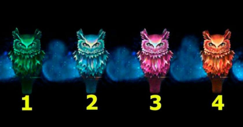 Pilih Satu Gambar Burung Hantu, Ungkap Kepribadian Tersembunyi Kamu