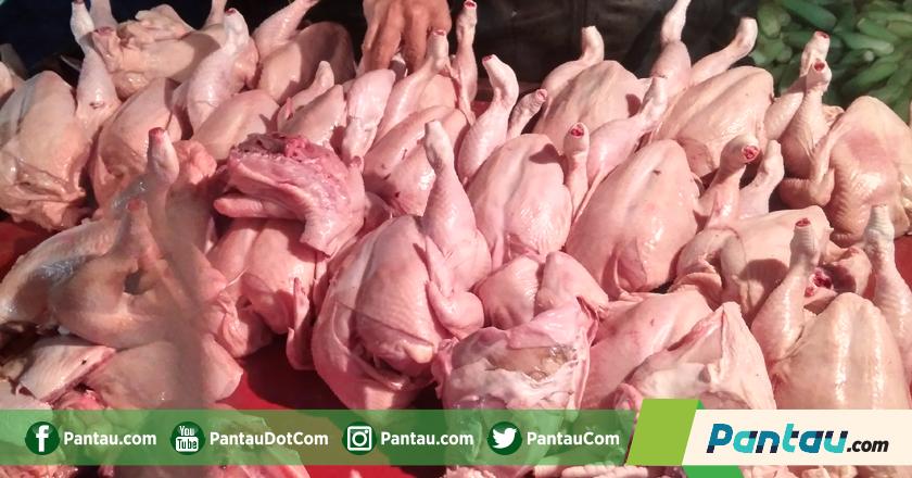 Harga Ayam Naik, Kementan: Harga Pakan Juga Naik