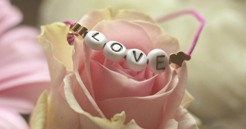 Ketahui Makna Bunga Mawar Berdasarkan Warnanya