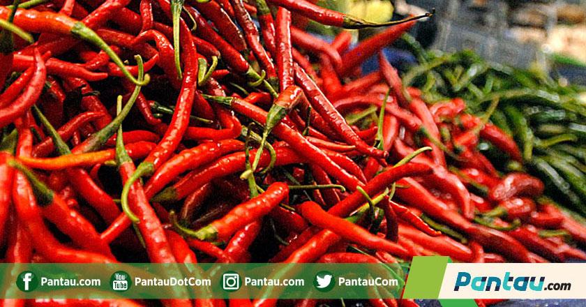 Harga Cabai Merah di Pasar Tembus Rp50.000 per Kilo
