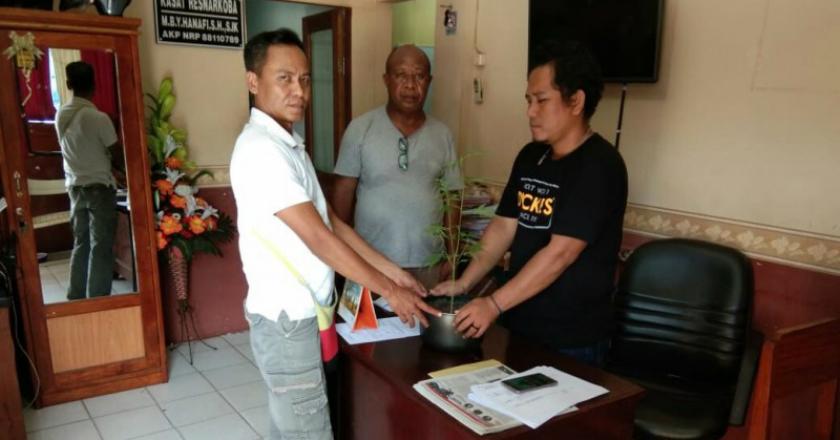 Pemuda Tampar Ibu, Bapaknya Lapor Polisi Bawa-bawa Pohon Ganja