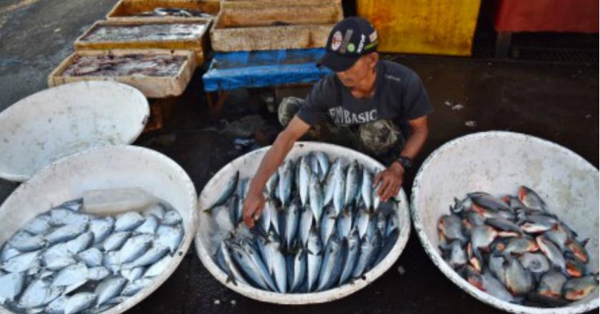 Indonesia Pamer ke Dunia Soal Penanggulangan Illegal Fishing