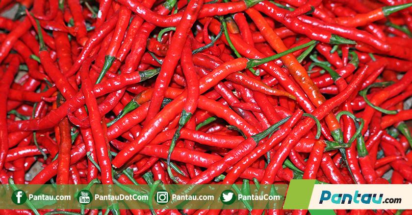 Harga Cabai di Lombok Tengah Capai Rp75 Ribu