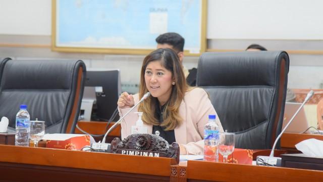 Komisi I DPR Minta Pemerintah Gerak Cepat Selesaikan KKB dengan Cara Komprehensif