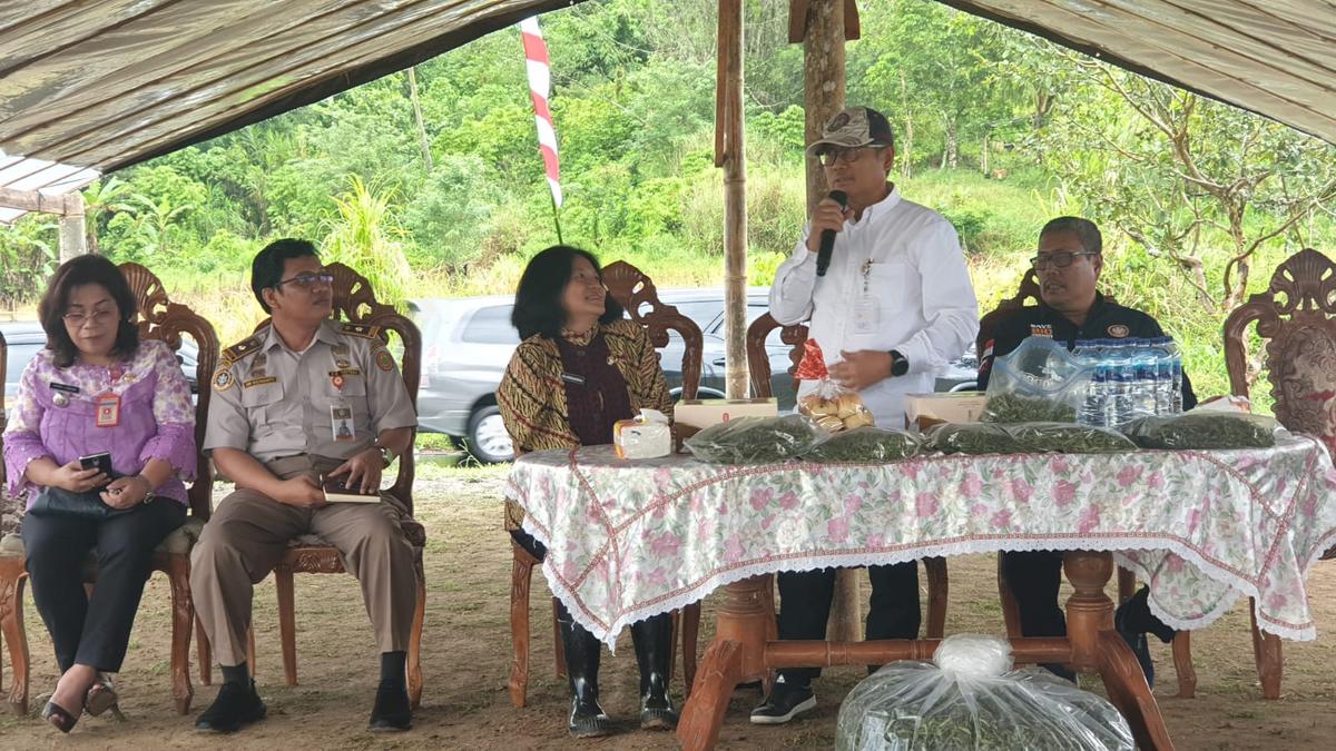 Kementan: Minahasa Potensial Kembangkan Stevia