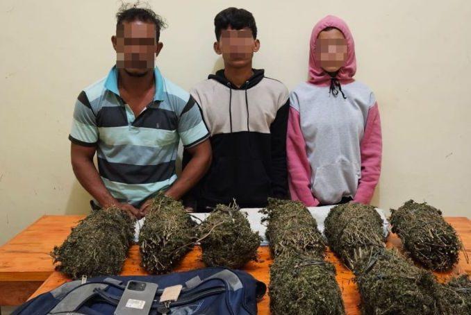 Polres Lhokseumawe Tangkap Pasutri Pengedar Ganja, 8 Kilogram Ganja Disita