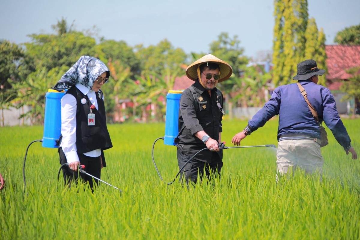 Mentan SYL Tinjau Penanganan Hama Wereng di Kabupaten Klaten