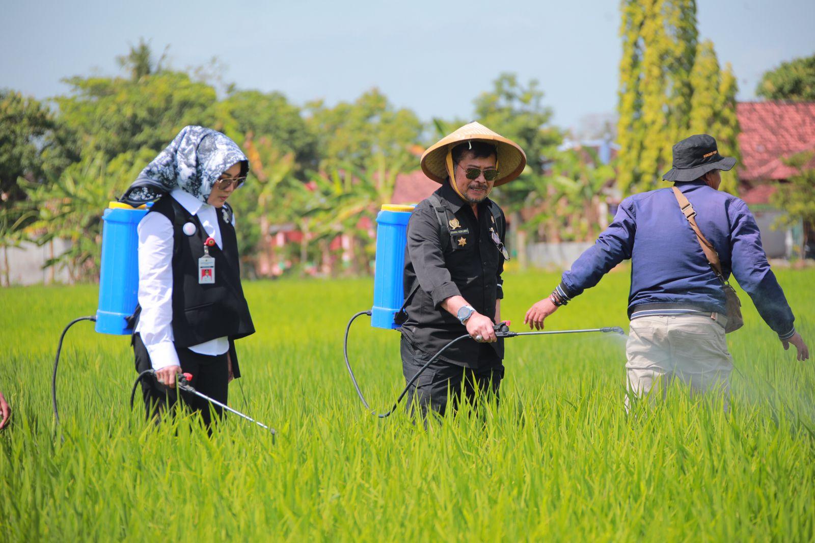 Mentan SYL Tinjau Penanganan Hama Wereng di Kabupaten Klaten