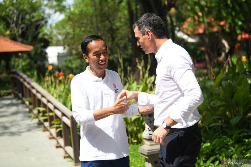 Jokowi Terus Memohon ke Pemimpin Dunia: Stop The War