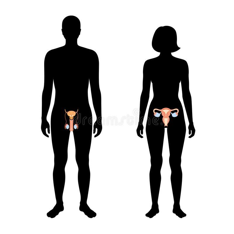 Mitos Kesehatan Organ Seksual yang Kamu Perlu Tahu Kebenarannya