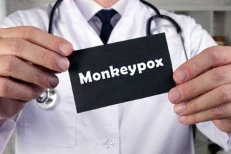 Satgas: Perketat Pemantauan Monkeypox di Semua Pintu Masuk Negara