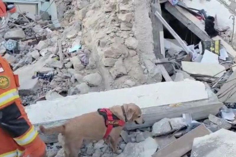 2 Anjing Pelacak Polri Cari Korban Gempa di Turki